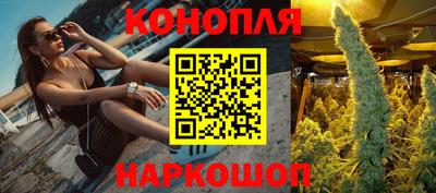 шишки Гусиноозёрск