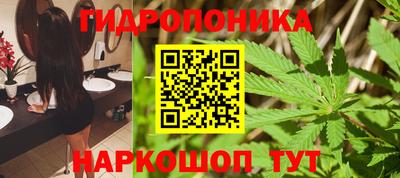 spice Берёзовский