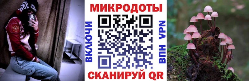 Псилоцибиновые грибы ЛСД  mega онион  Рассказово 