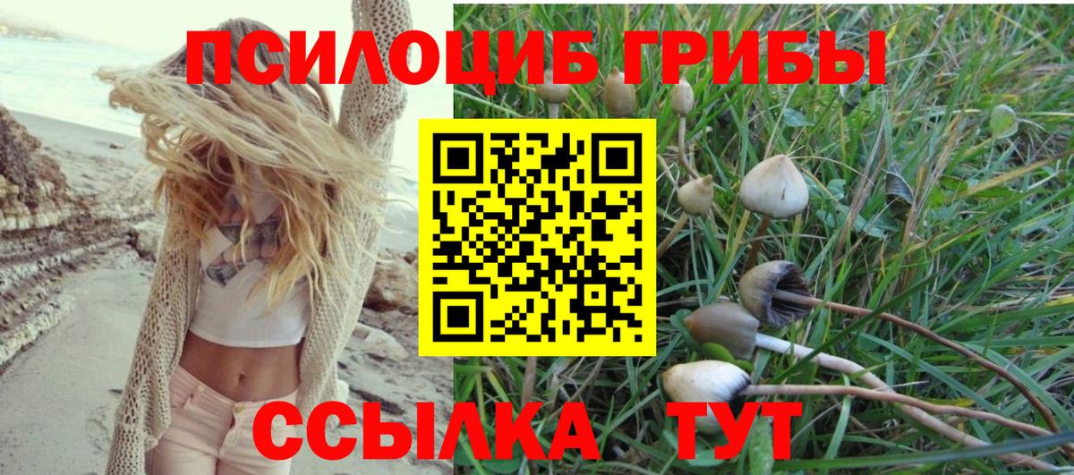 Псилоцибиновые грибы прущие грибы Рассказово