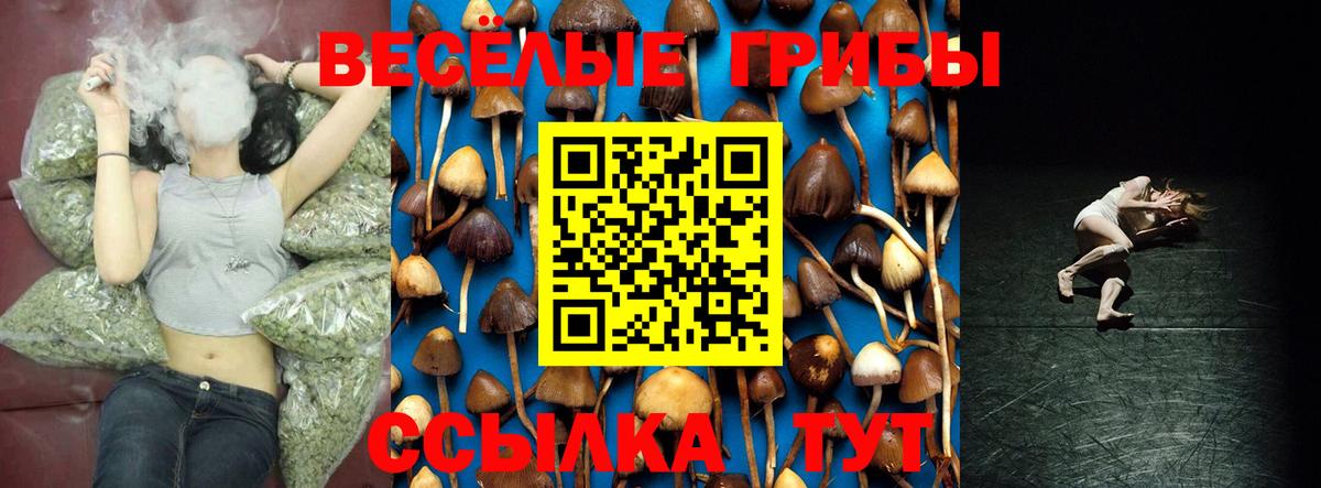 Галлюциногенные грибы GOLDEN TEACHER Рассказово