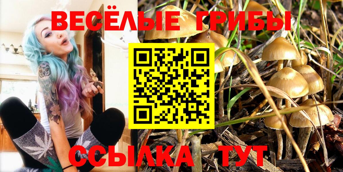 Галлюциногенные грибы Cubensis  Галлюциногенные грибы Psilocybine cubensis  Вход с VPN  Рассказово 